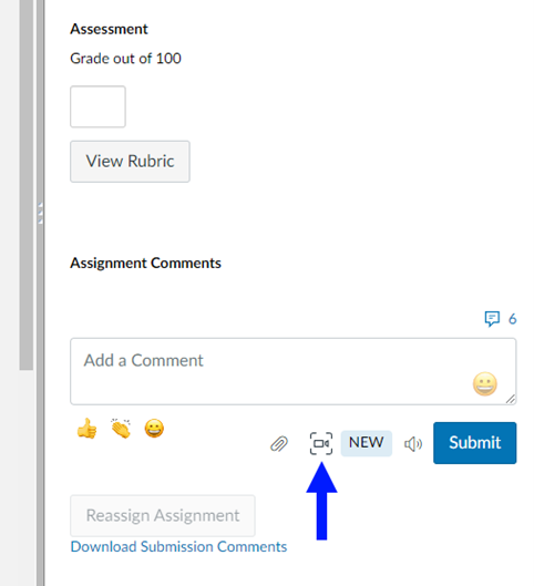 Icon is labeled screen capture in the SpeedGrader grading Pane.