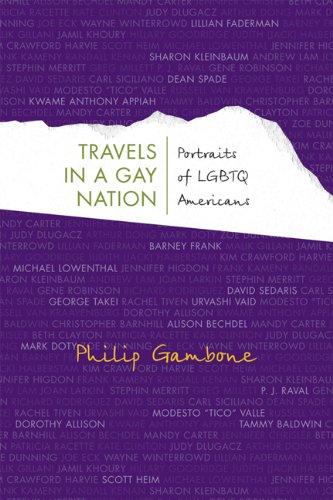 Book cover -Travels in a Gay Nation